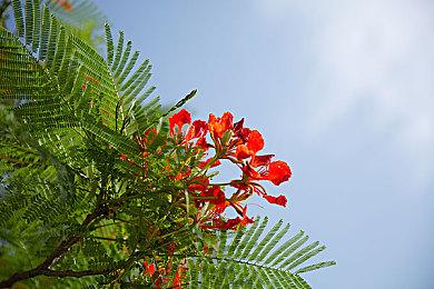 《北欧女神 蕾娜斯》PS4＆5移植版 将于9月29日推出